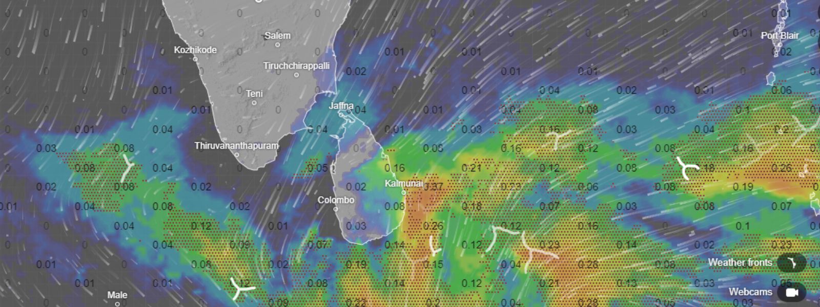 Red Alert: Heavy Showers and Strong Winds Expected